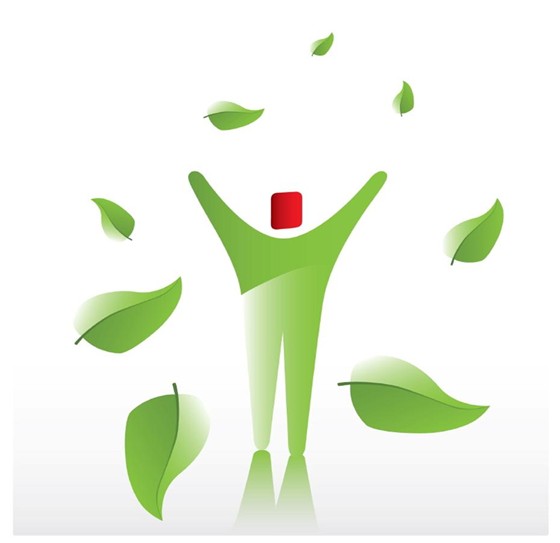 SOCIAL, ETHICAL, AND HUMAN ISSUES: BCS-CA1-1