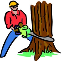 Портфолио Kendell Parker